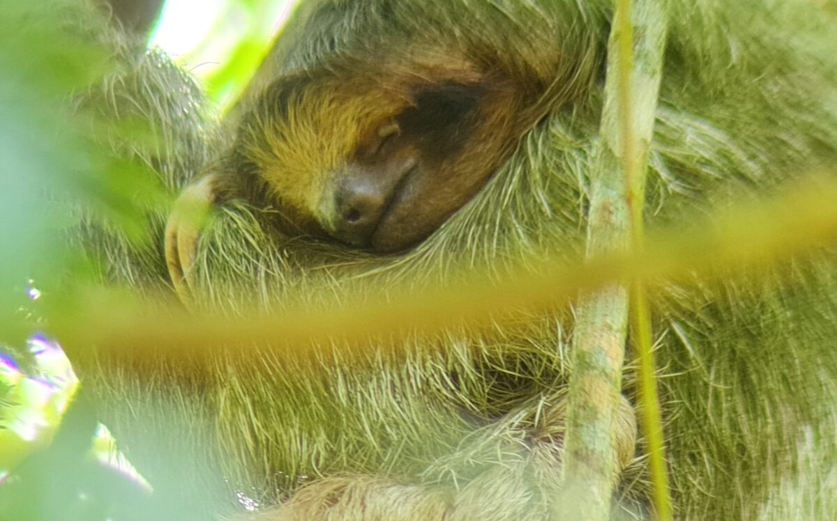 top things to do in Guanacaste Costa Rica